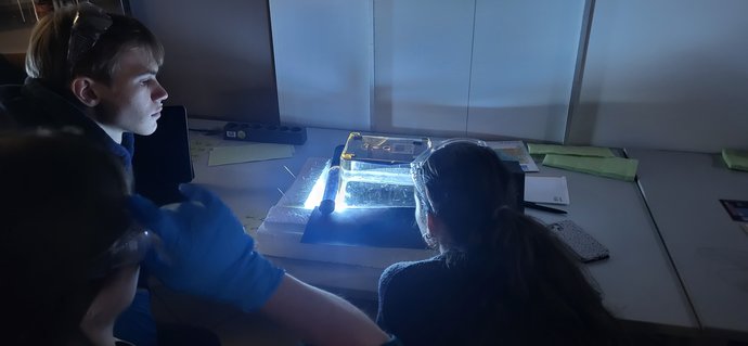 Faszination Physik
